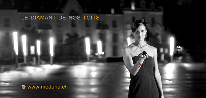 Le diamant de nos toits